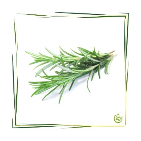 Hydrolat Rosmarin BIO